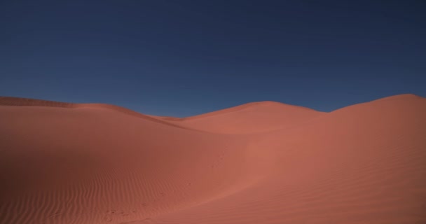 Písečná Duna Saharské Pouště Mhamid Ghizlane Maroku Kvalitní Záběry Zagora — Stock video