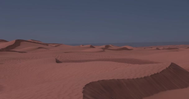 摩洛哥Mhamid Ghizlane的一个撒哈拉沙漠沙丘 高质量的4K镜头 Zagora区Mhamid Ghizlane Morocco 2024这里是摩洛哥的沙漠地区 — 图库视频影像