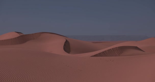 Sand Dune Sahara Desert Mhamid Ghizlane Morocco Telephoto Shot High — Stock Video