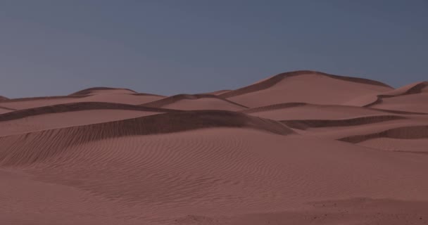 Egy Homokdűne Szaharai Sivatagnak Mhamid Ghizlane Nél Marokkóban Kiváló Minőségű — Stock videók