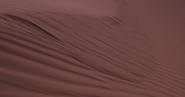 Egy Homokdűne Szaharai Sivatagnak Mhamid Ghizlane Nél Marokkóban Kiváló Minőségű — Stock videók