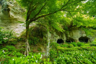 Geleneksel Asyalı muhafız el bilgisayarı. Kamakura Kanagawa Bölgesi - 04.22.2019 kamera: Canon EOS 5D mark4