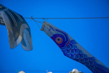 Parkta gündüz güneşinde sazan balığı şeridi. Sumida Bölgesi Tokyo - 05.08.2019