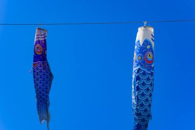 Parkta gündüz güneşinde sazan balığı şeridi. Sumida Bölgesi Tokyo - 05.08.2019