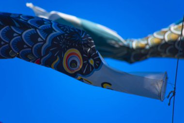 Parkta gündüz güneşinde sazan balığı şeridi. Sumida Bölgesi Tokyo - 05.08.2019