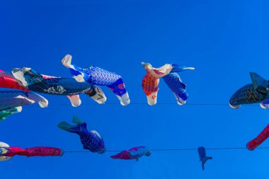 Parkta gündüz güneşinde sazan balığı şeridi. Sumida Bölgesi Tokyo - 05.08.2019