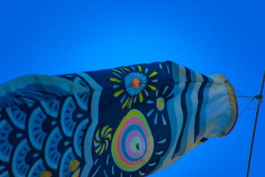 Parkta gündüz güneşinde sazan balığı şeridi. Sumida Bölgesi Tokyo - 05.08.2019