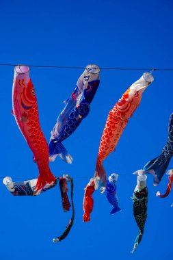 Parkta gündüz güneşinde sazan balığı şeridi. Sumida Bölgesi Tokyo - 05.08.2019