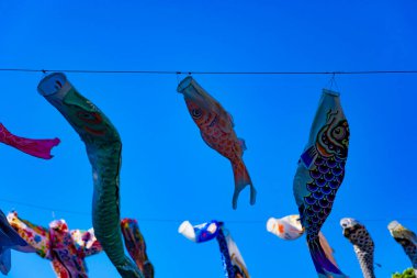 Parkta gündüz güneşinde sazan balığı şeridi. Sumida Bölgesi Tokyo - 05.08.2019