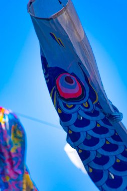 Parkta gündüz güneşinde sazan balığı şeridi. Sumida Bölgesi Tokyo - 05.08.2019