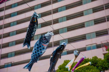 Parkta gündüz güneşinde sazan balığı şeridi. Sumida Bölgesi Tokyo - 05.08.2019