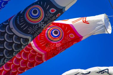 Parkta gündüz güneşinde sazan balığı şeridi. Sumida Bölgesi Tokyo - 05.08.2019