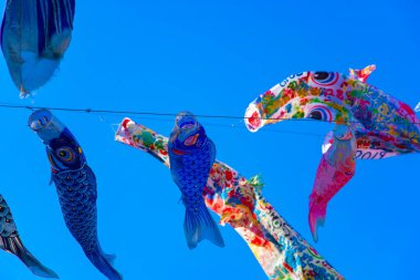 Parkta gündüz güneşinde sazan balığı şeridi. Sumida Bölgesi Tokyo - 05.08.2019