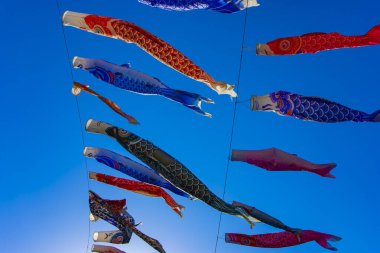 Parkta gündüz güneşinde sazan balığı şeridi. Sumida Bölgesi Tokyo - 05.08.2019