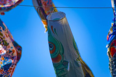 Parkta gündüz güneşinde sazan balığı şeridi. Sumida Bölgesi Tokyo - 05.08.2019