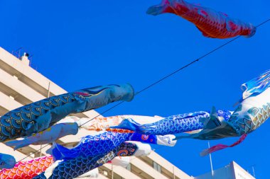Parkta gündüz güneşinde sazan balığı şeridi. Sumida Bölgesi Tokyo - 05.08.2019