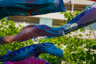 Parkta gündüz güneşinde sazan balığı şeridi. Sumida Bölgesi Tokyo - 05.08.2019