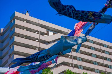 Parkta gündüz güneşinde sazan balığı şeridi. Sumida Bölgesi Tokyo - 05.08.2019