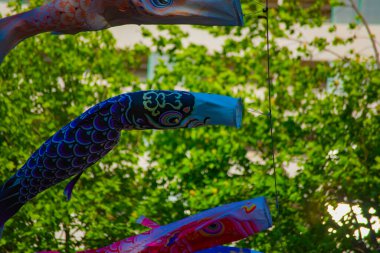 Parkta gündüz güneşinde sazan balığı şeridi. Sumida Bölgesi Tokyo - 05.08.2019