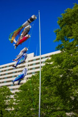 Parkta gündüz güneşinde sazan balığı şeridi. Sumida Bölgesi Tokyo - 05.08.2019