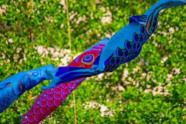 Parkta gündüz güneşinde sazan balığı şeridi. Sumida Bölgesi Tokyo - 05.08.2019