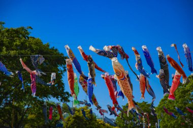 Parkta gündüz güneşinde sazan balığı şeridi. Sumida Bölgesi Tokyo - 05.08.2019