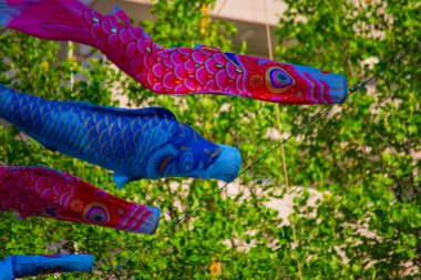 Parkta gündüz güneşinde sazan balığı şeridi. Sumida Bölgesi Tokyo - 05.08.2019