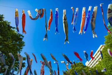 Parkta gündüz güneşinde sazan balığı şeridi. Sumida Bölgesi Tokyo - 05.08.2019
