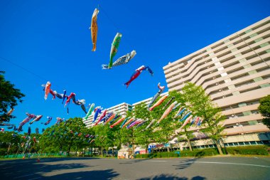 Parkta gündüz güneşinde sazan balığı şeridi. Sumida Bölgesi Tokyo - 05.08.2019