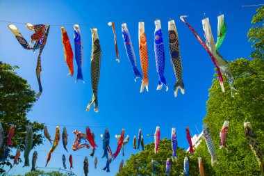 Parkta gündüz güneşinde sazan balığı şeridi. Sumida Bölgesi Tokyo - 05.08.2019