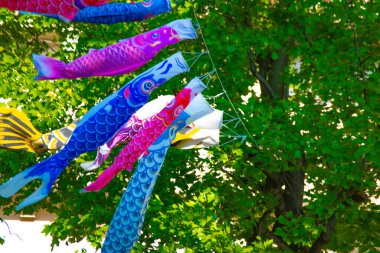 Parkta gündüz güneşinde sazan balığı şeridi. Sumida Bölgesi Tokyo - 05.08.2019