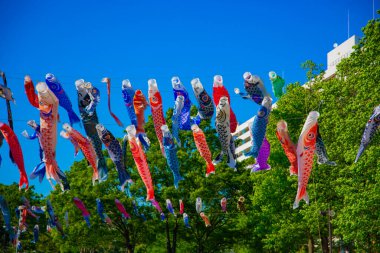 Parkta gündüz güneşinde sazan balığı şeridi. Sumida Bölgesi Tokyo - 05.08.2019