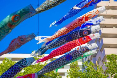 Parkta gündüz güneşinde sazan balığı şeridi. Sumida Bölgesi Tokyo - 05.08.2019