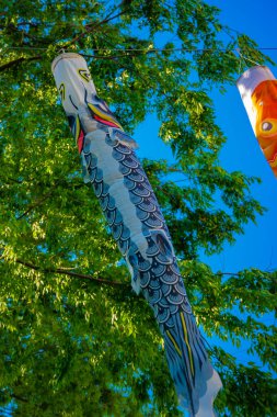 Parkta gündüz güneşinde sazan balığı şeridi. Sumida Bölgesi Tokyo - 05.08.2019