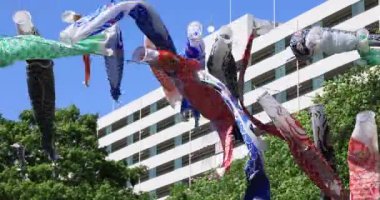 Parkta gündüz güneşli sazan streamer. Sumida district Tokyo Japan - 05.08.2019 kamera : Canon Eos 5d mark4