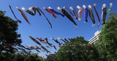 Parkta sazan desenli, gündüz güneşli, geniş açılı. Sumida Bölgesi Tokyo - 05.08.2019 kamera: Canon EOS 5D mark4