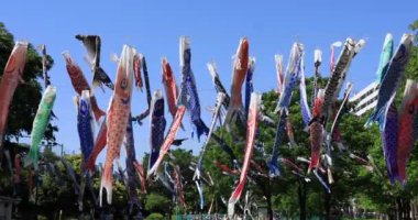 Parkta sazan desenli, gündüz güneşli, geniş açılı. Sumida Bölgesi Tokyo - 05.08.2019 kamera: Canon EOS 5D mark4
