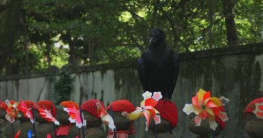 Heykel bekçisi kırmızı şapkalı ve siyah karga gündüz vakti. Tokyo Minato Bölgesi - 07.25.2019: Geleneksel tapınakta bulunan eski bir heykel.