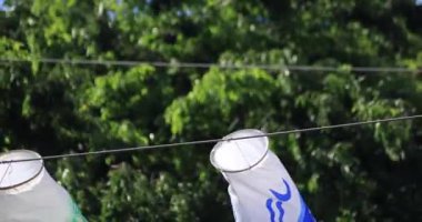 Parkta sazan desenli, gündüz güneşli yakın çekim. Sumida Bölgesi Tokyo - 05.08.2019 kamera: Canon EOS 5D mark4