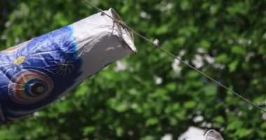 Parkta sazan desenli, gündüz güneşli yakın çekim. Sumida Bölgesi Tokyo - 05.08.2019 kamera: Canon EOS 5D mark4