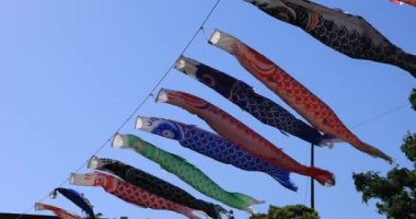 Parkta gündüz güneşli sazan streamer. Sumida district Tokyo Japan - 05.08.2019 kamera : Canon Eos 5d mark4