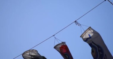 Parkta gündüz güneşli sazan streamer. Sumida district Tokyo Japan - 05.08.2019 kamera : Canon Eos 5d mark4