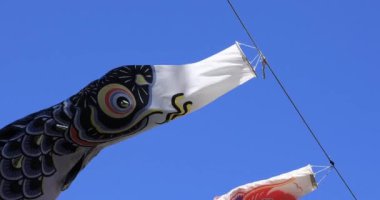 Parkta sazan desenli, gündüz güneşli yakın çekim. Sumida Bölgesi Tokyo - 05.08.2019 kamera: Canon EOS 5D mark4