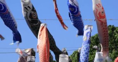 Parkta gündüz güneşli sazan streamer. Sumida district Tokyo Japan - 05.08.2019 kamera : Canon Eos 5d mark4