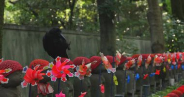 Heykel bekçisi kırmızı şapkalı ve siyah karga gündüz vakti. Tokyo Minato Bölgesi - 07.25.2019: Geleneksel tapınakta bulunan eski bir heykel.