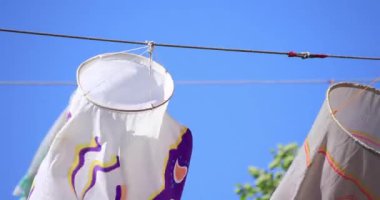 Parkta sazan desenli, gündüz güneşli yakın çekim. Sumida Bölgesi Tokyo - 05.08.2019 kamera: Canon EOS 5D mark4