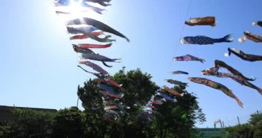 Parkta sazan desenli, gündüz güneşli, geniş açılı. Sumida Bölgesi Tokyo - 05.08.2019 kamera: Canon EOS 5D mark4