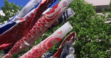 Parkta gündüz güneşli sazan streamer. Sumida district Tokyo Japan - 05.08.2019 kamera : Canon Eos 5d mark4