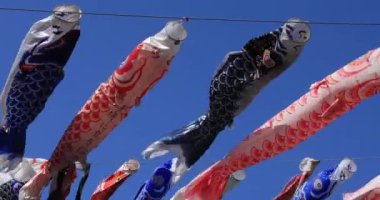 Parkta gündüz güneşli sazan streamer. Sumida district Tokyo Japan - 05.08.2019 kamera : Canon Eos 5d mark4