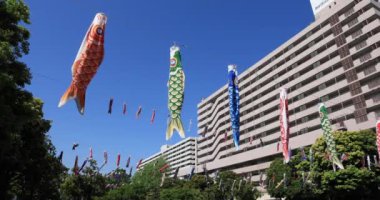 Parkta sazan desenli, gündüz güneşli, geniş açılı. Sumida Bölgesi Tokyo - 05.08.2019 kamera: Canon EOS 5D mark4